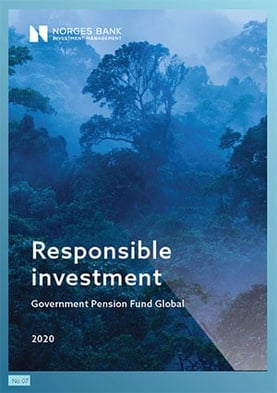 Responsible investment 2020