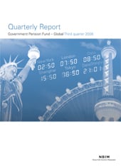 3Q 2008 Quarterly report
