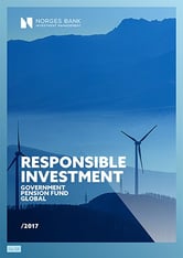 Responsible investment 2017