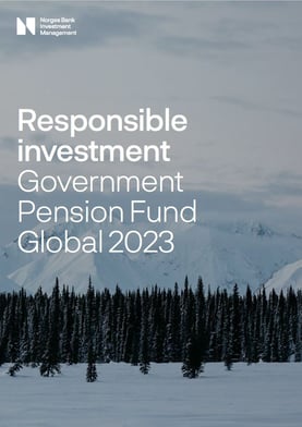 Responsible investment 2023