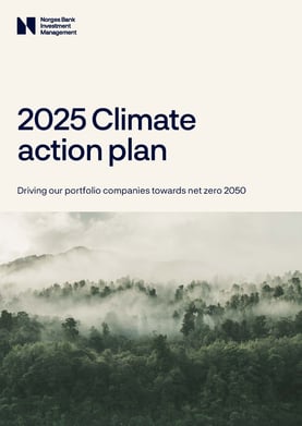 2025 Climate action plan