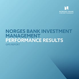 Performance results - GIPS