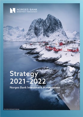 Strategy plan 2021-2022
