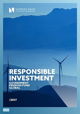 Responsible investment 2017