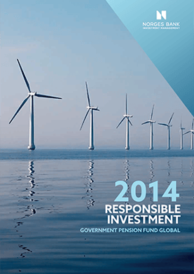 Responsible investment 2014