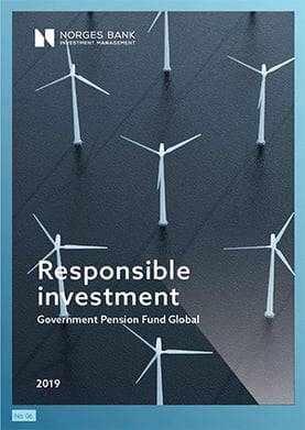 Responsible investment 2019