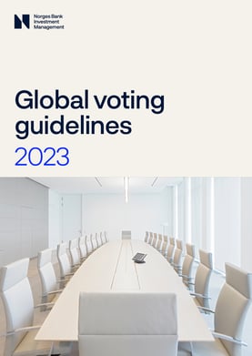 Our global voting guidelines