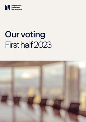 Our voting first half 2023