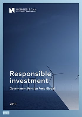 Responsible investment 2018