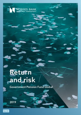 Return and risk 2019