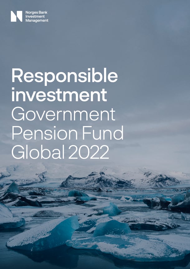 Responsible investment 2022