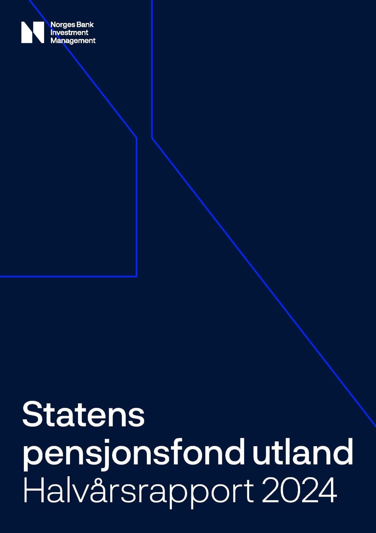 Halvårsrapport 2024