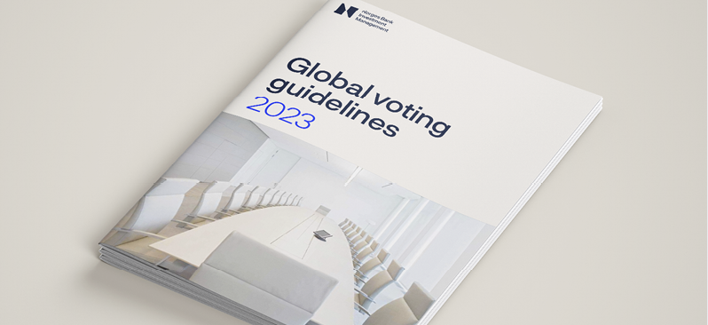Forsiden til publikasjonen "Globale retningslinjer for stemmegivning 2023".