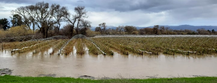 Flooded agricultural fields with protective crop structures under a cloudy sky.