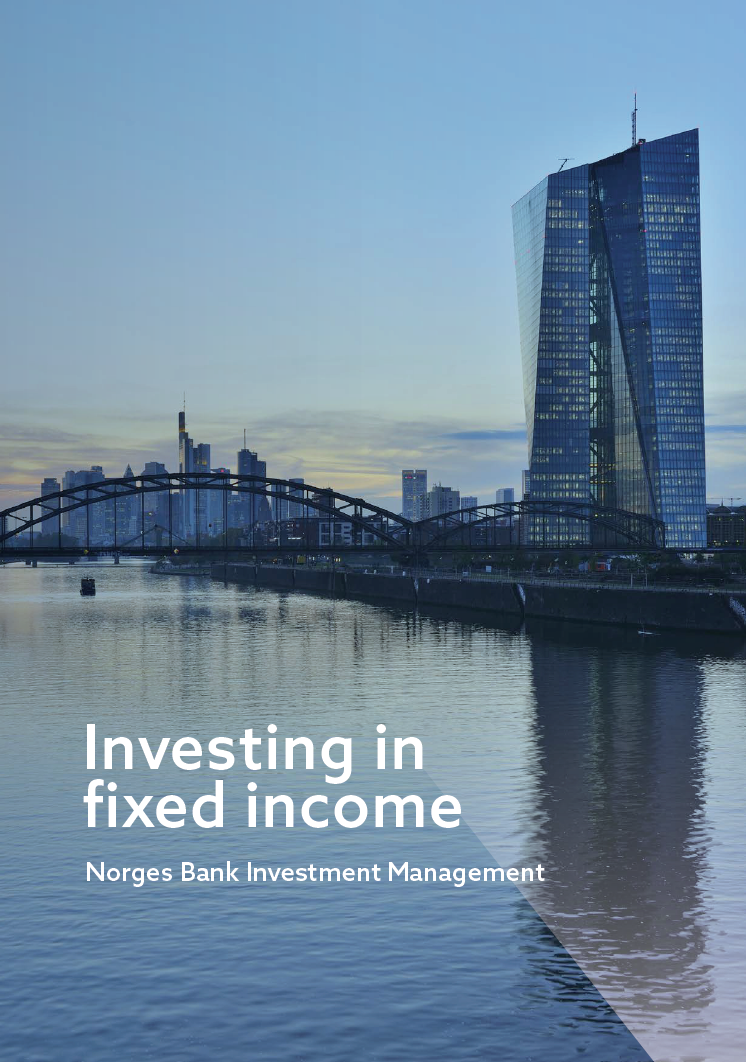 Fixed income for the long term