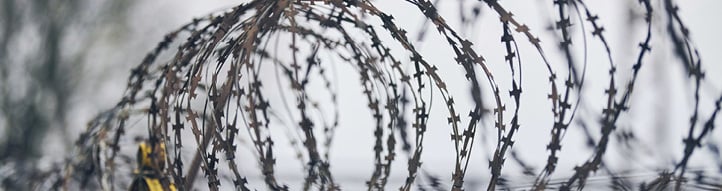 Close-up of barbed wire against a blurred background.