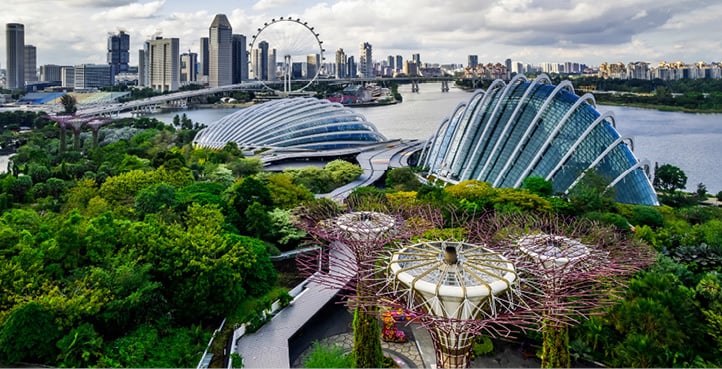 Gardens by the Bay in Singapore, with the Supertree structures and city skyline in the background.