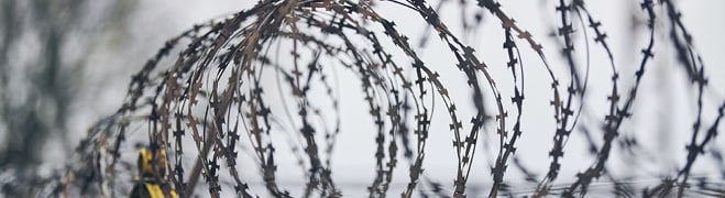 N&aelig;rbilde av piggtr&aring;d mot uskarp bakgrunn.