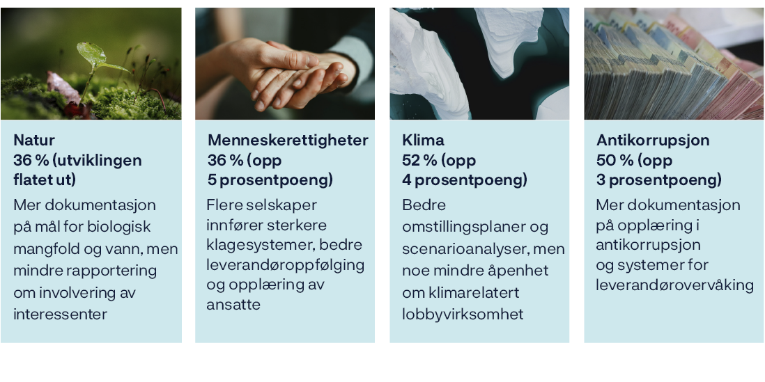 A row of images with descriptions of the content. The first image is a hand holding a leaf, the second is a hand holding a stem, the third is a hand holding a flower, the fourth is a hand holding a stem, and the fifth is a hand holding a leaf.

AI generated content