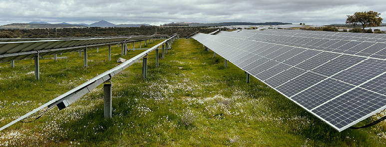 Solcellepaneler på rekke i grønt landskap under grå himmel.