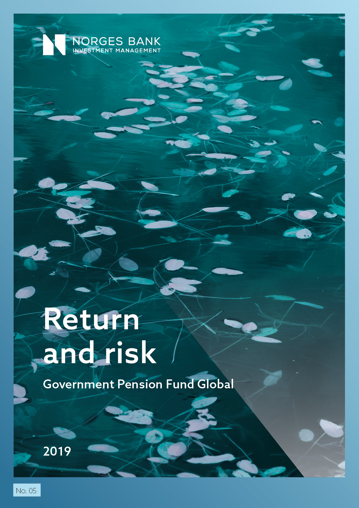Extended information on return and risk